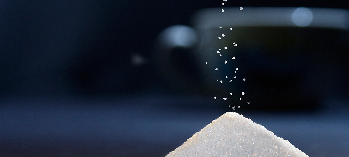 瑞芬生物“赤蘚Plus”榮獲iSEE全球食品創(chuàng)新技術獎Top50